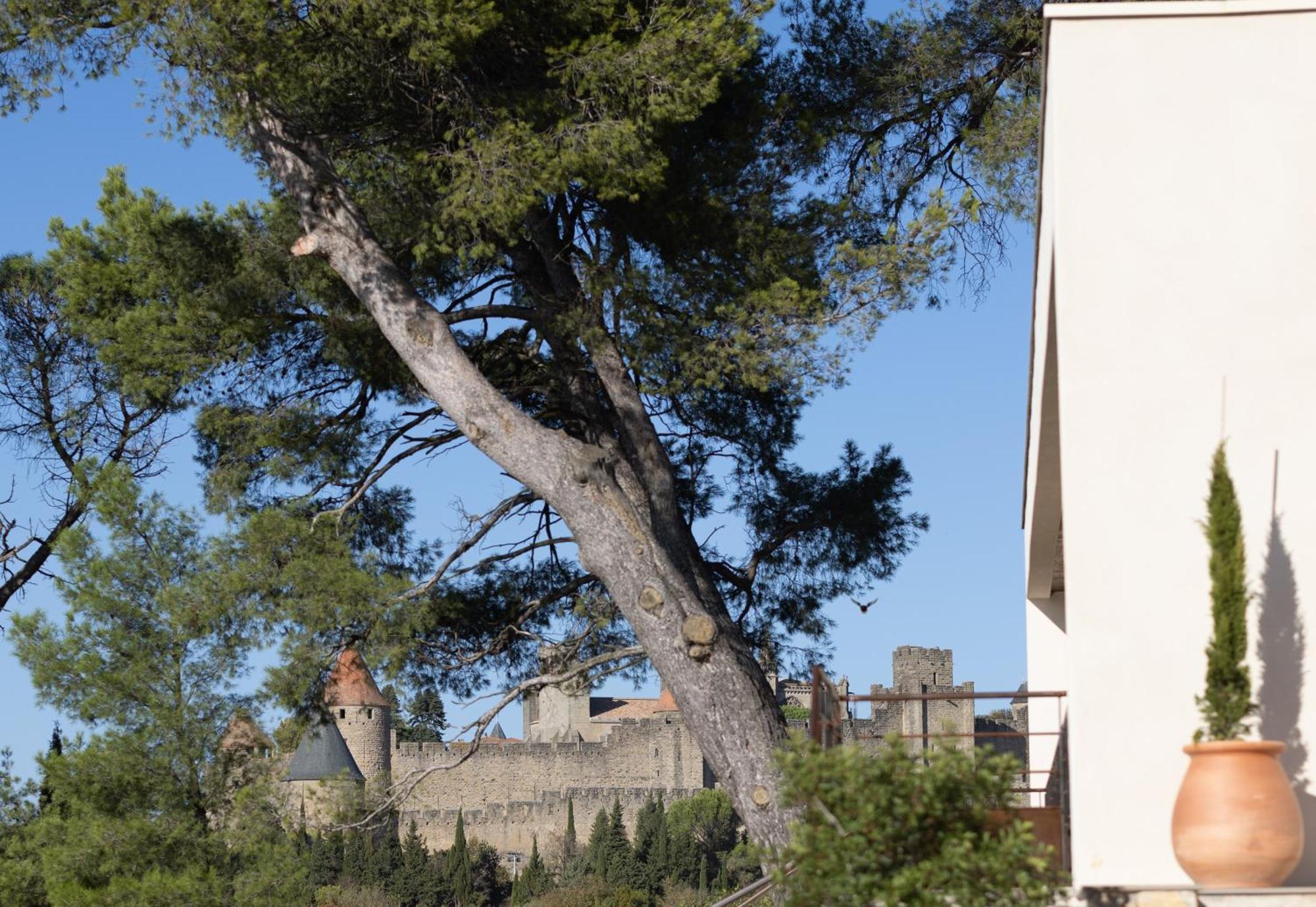 Villa St Francois Piscine Privee Chauffee ,Clim ,Parking Gratuit Carcassonne Buitenkant foto
